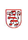 Handball in Frankfurt